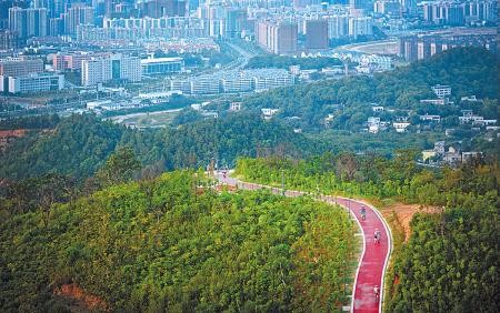 彩色混凝土點綴道路養眼又實用