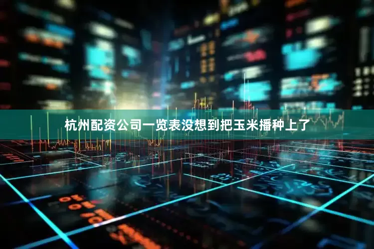 杭州配资公司一览表没想到把玉米播种上了