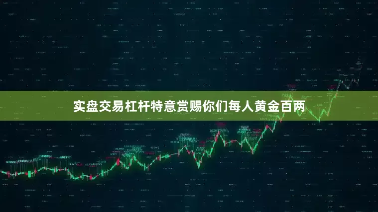 实盘交易杠杆特意赏赐你们每人黄金百两