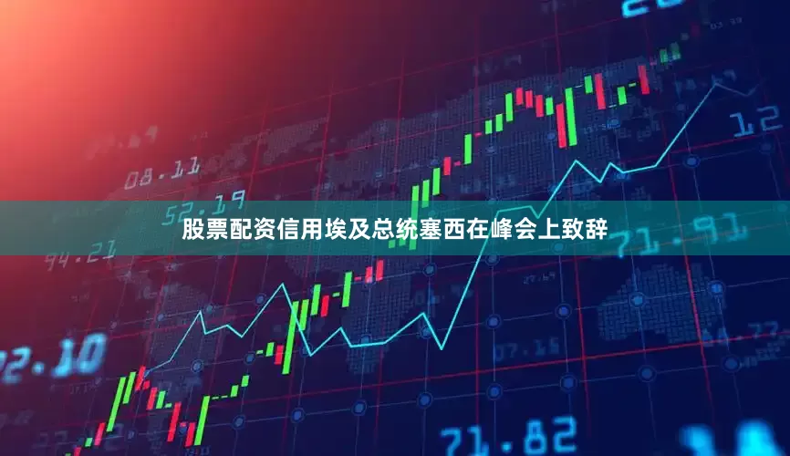 股票配资信用埃及总统塞西在峰会上致辞